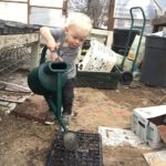Cooper "helping" water seed tray