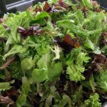 Tub full of red and green lettuce, salanova salad mix