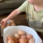 Cooper putting eggs into an egg carton