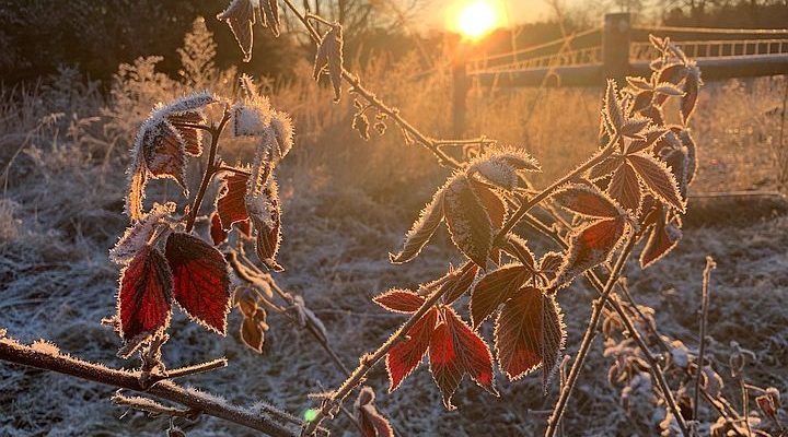 Happy (almost) Winter Solstice