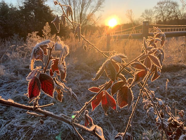 Happy (almost) Winter Solstice