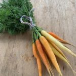 Baby Carrots bunched