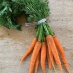 Carrots bunched