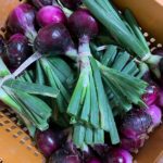 Red onions bunched in a crate