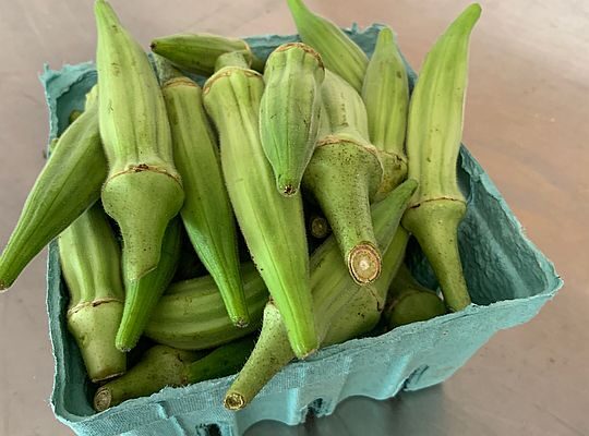 Okra, Zucchini & Long Beans