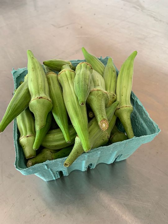 Okra, Zucchini & Long Beans