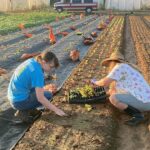 Melea and Nicole planting more fall lettuce