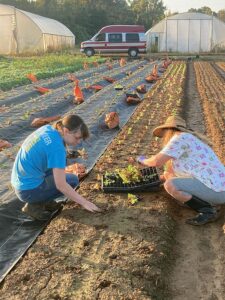 Melea and Nicole planting more fall lettuce