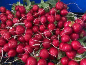 Red radishes