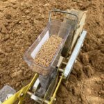 Planting an experimental plot of red winter wheat