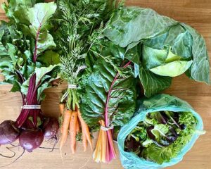 Small share CSA May 20th