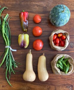 Small share CSA August 22nd