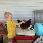 Cooper petting a chicken