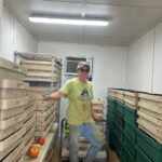 Josephine in the tomato storage room. Get your maters now