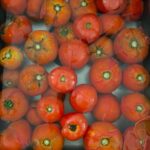 What does this farmer do with the not so perfect tomatoes? Blanch, peel and freeze