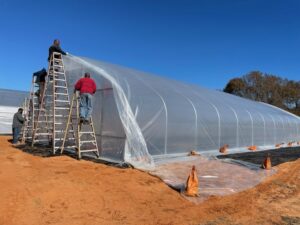First layer of poly on the greenhouse