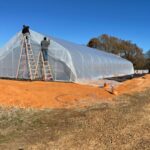 Second layer of poly on the greenhouse