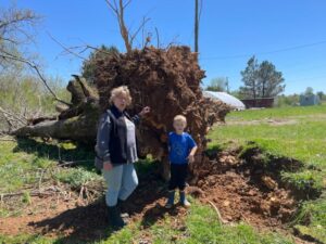 That last storm knocked down a few old trees. Here is Connie, Randy's mom (L) and Cooper (R) standing by the rootball of one tree