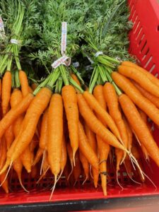 Fresh bunched and washed carrots