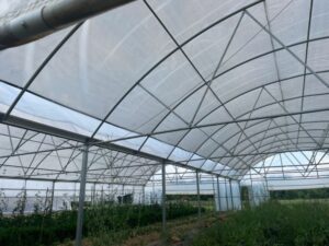 Shade cloth is on the high tunnels