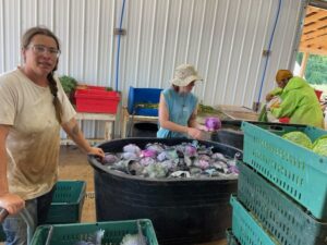 Josephine (L) and Melea center washing the cabbage harvested