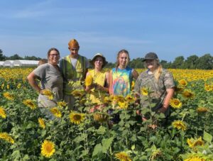 Work crew standing in the sunflowers (L to R) Josephine, robin, Melea, Skylar and Emery