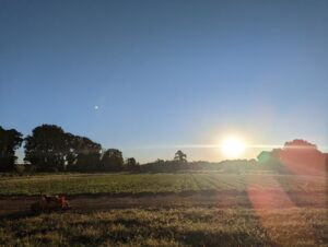 Sunrise over the field-pic by Mary