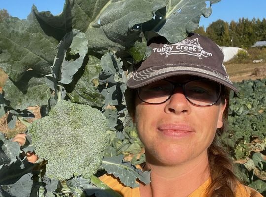 The annual Mowing of the Okra