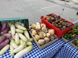 Fall veggies diakon, rutabagas, beets at CYCFM