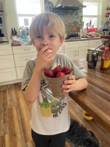 Cooper eating the first strawberries of the year