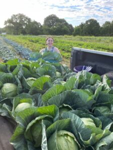 Anna, loading up freshly harvested cabbages