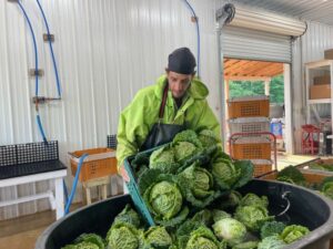 Robin, working in the wash/pack building