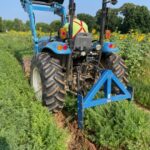 Randy using the under cutter bar to loosen the soil for easy carrot picking