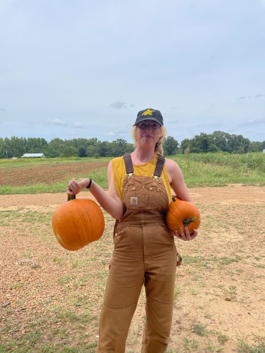 Pumpkin Patch Dreams