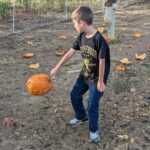 Kids busting pumpkins for the chickens