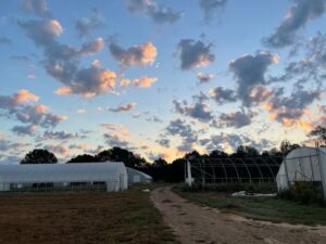 A cool Fall sunrise with the sun making the edges of the clouds bright