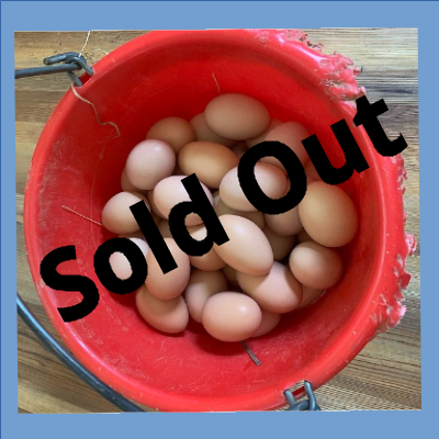 Eggs Sold Out