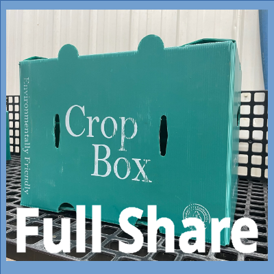 Full Share box