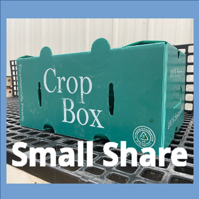 Small Share box