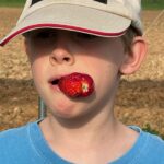 Cooper the "Strawberry King" chomping on a giant strawberry he just picked