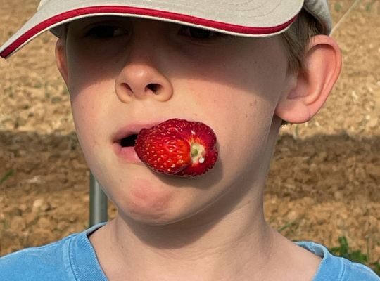 Hilling taters and planting maters