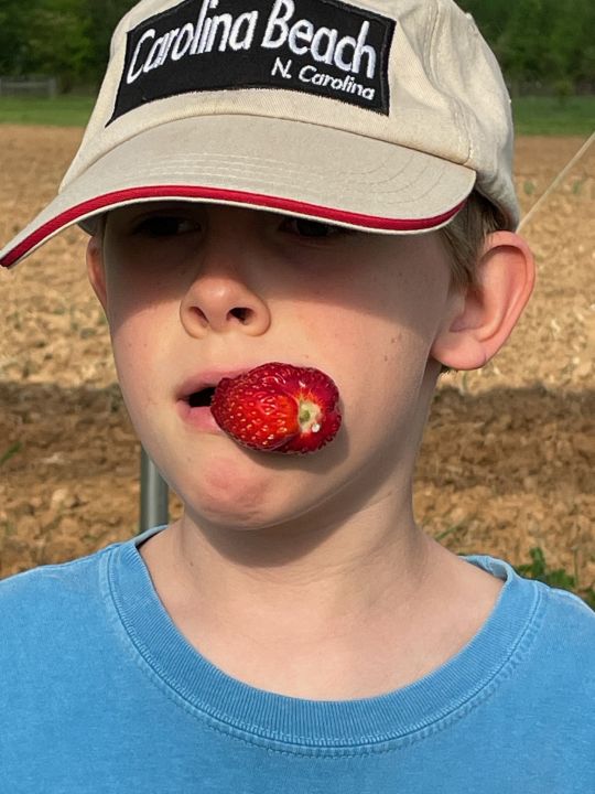 Hilling taters and planting maters