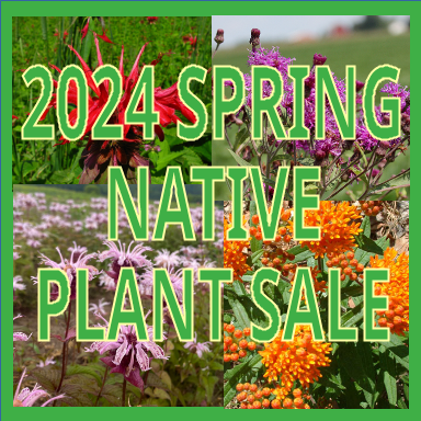 Webstore open for native plant sale
