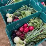 CSA Shares packed and ready for the walk in