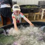 Cooper bubble washing the cabbage