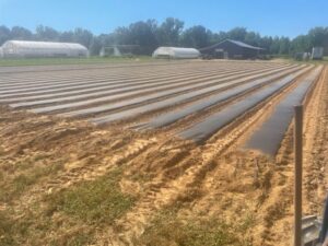 27 Beds done and ready for planting