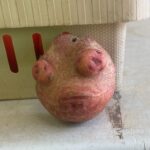 Alien faced potato, the alien invasion has begun and they are, potato!