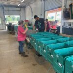 Kayla (L) and Robin (R) packing CSA shares with Connie in the background weighing out potatoes.