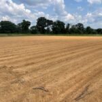 A major accomplishment today - we shaped all of our garden beds for next spring!  It's too wet to prepare beds in the spring when we start planting, so we have to make them all well in advance.  These 50 180-foot beds will hold all our spring crops like potatoes, onions, carrots, lettuce and more.