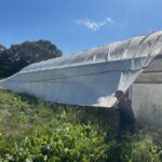 Pulling shade cloth off the high tunnels